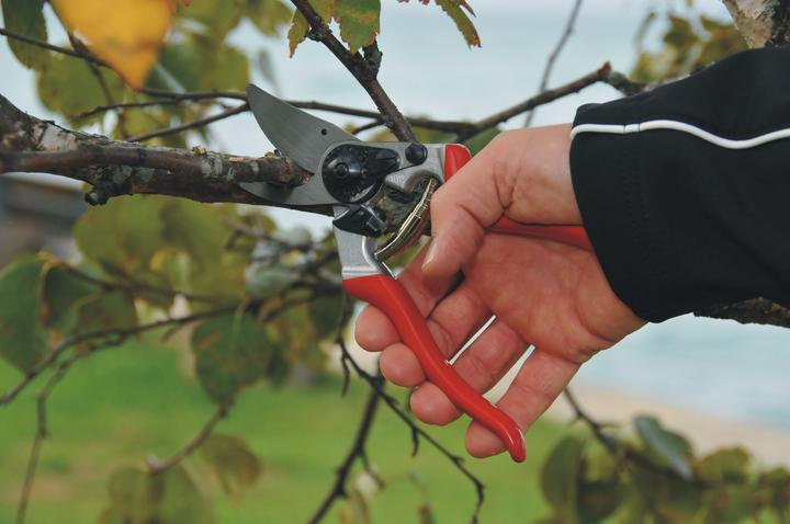 Image du produit Felco 8