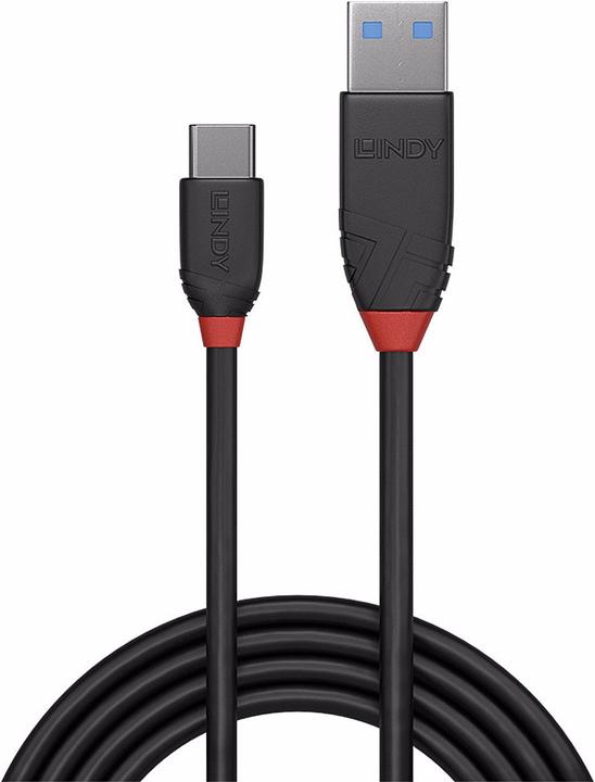 Actual product image Lindy black line (0.15 m, USB 3.1)