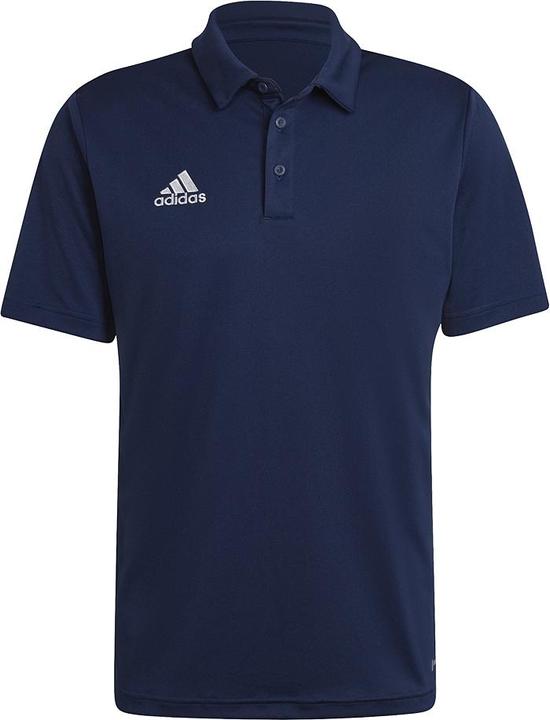 Actual product image adidas Entrada 22 polo shirt men (S)