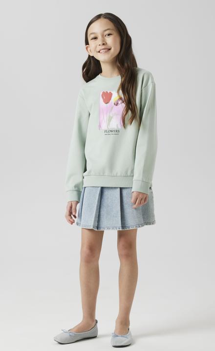 Image du produit Name it Bio-Baumwoll Sweatshirt (116)