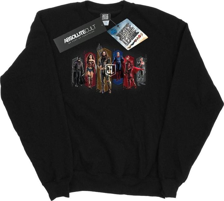 Produktbild Justice League Movie Team Hexagons Sweatshirt (S)