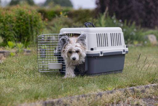 Actual product image Karlie Nomad (Dog, Cat, Lockable)