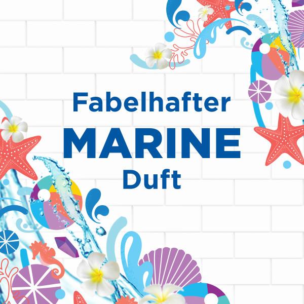 Produktbild WC-Ente Acqua Blue 4in1 Nachfüller