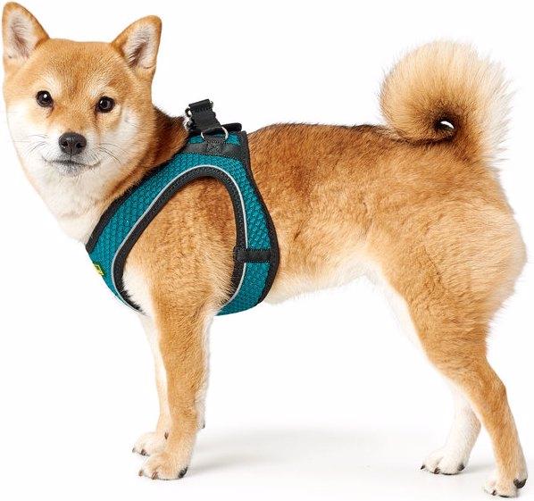 Produktbild Hunter Hundegeschirr Hilo Comfort (XXS, Hund, Allgemein)