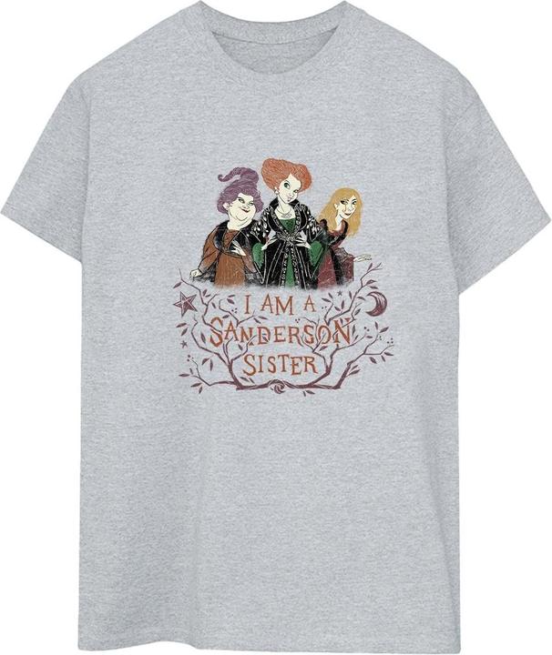 Produktbild Disney Hocus Pocus Sanderson Sister TShirt (XXL)
