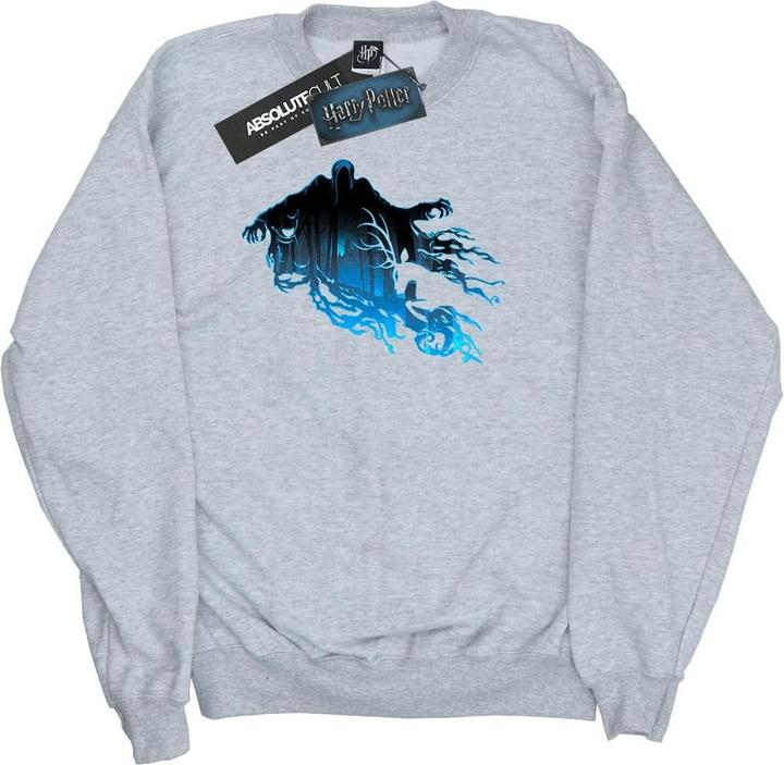Actual product image Boys Dementor Silhouette Sweatshirt (152, 158)