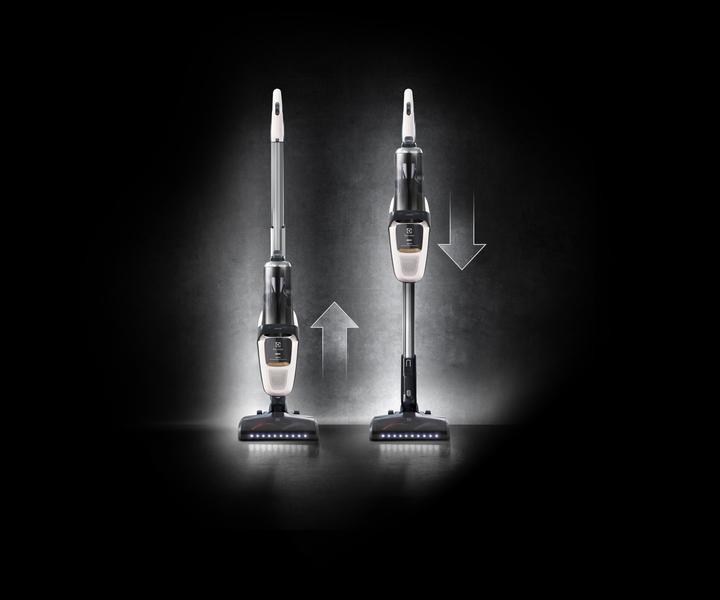 Actual product image Electrolux Pure F9 PF91-ALRGY