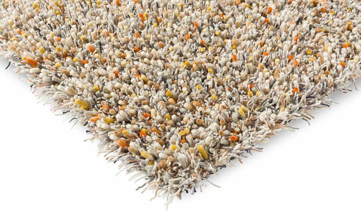 Image du produit Brink & Campman Spring (250 x 350 cm)