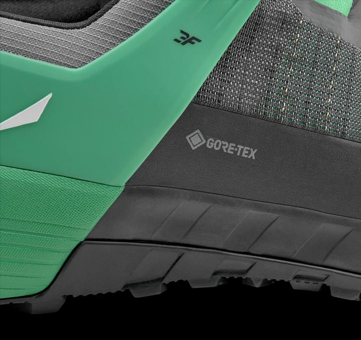 Actual product image Salewa Wildfire Nxt Gtx M (44.5)
