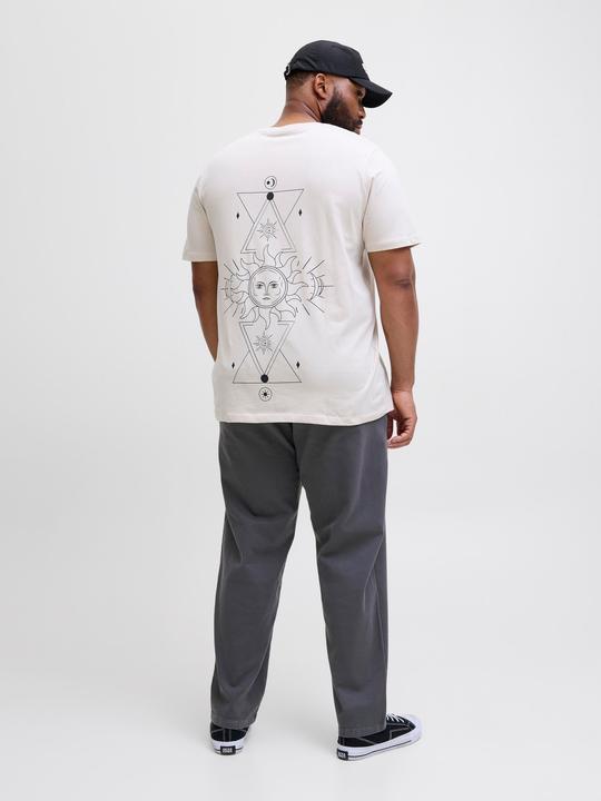Actual product image Jack & Jones Jpstkane Fctry Fabric2 L2 Chino Pant Pls (W50/L32)
