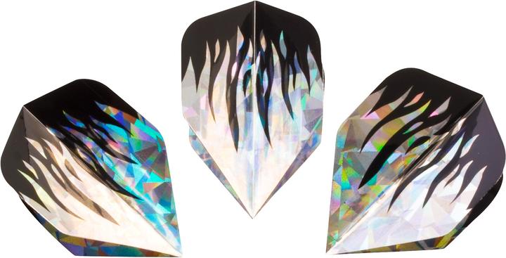 Image du produit Hudora Fléchettes de rechange Hologram