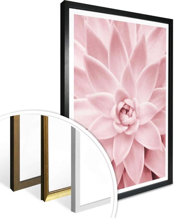 Immagine prodotto Trenddeko Rosa succulenta (50 x 60 cm)