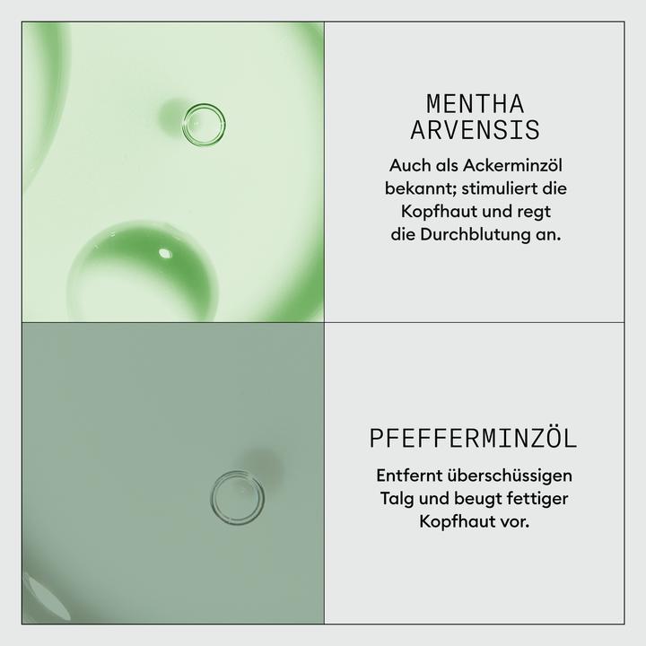 Produktbild Nioxin Dermabrasion Scalp Renew Treatment (75 ml)