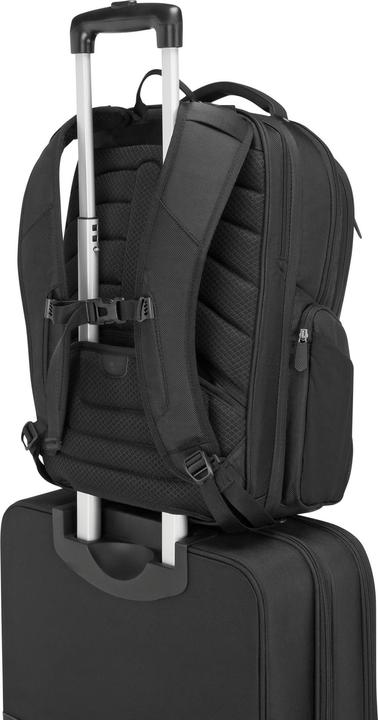 Actual product image Targus Corporate Traveller (30 l)
