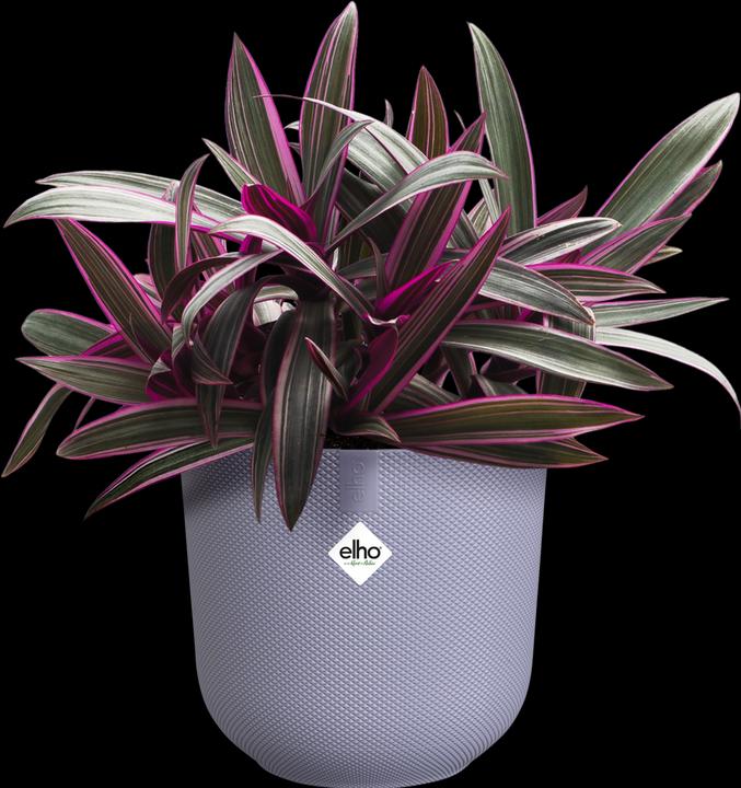 Image du produit Elho Jazz rond (18.90 cm)
