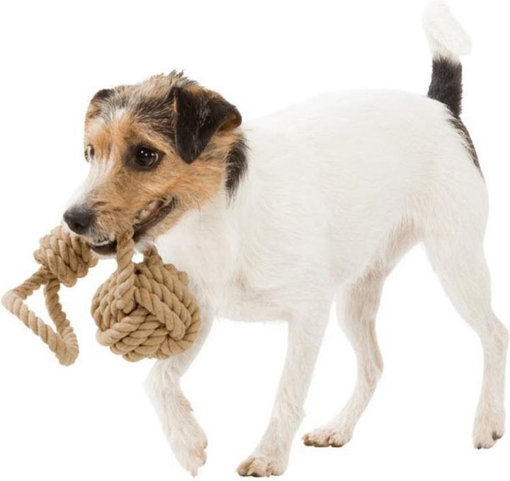 Actual product image Trixie Play rope with ball (Dog activity toy)