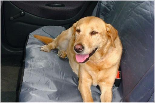 Beeztees Bz Car Protection Blanket Universal (Dog, Washable)