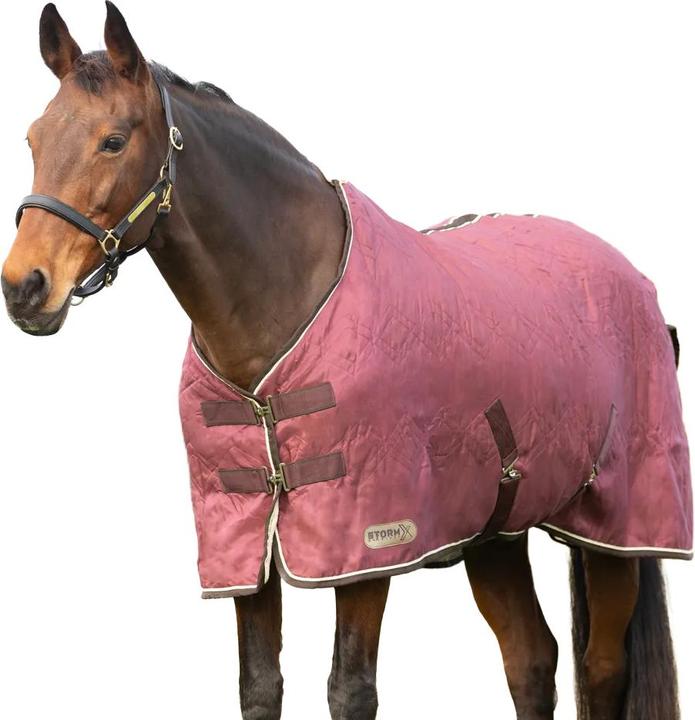 Storm X Empra Standard Reitturnier Decke