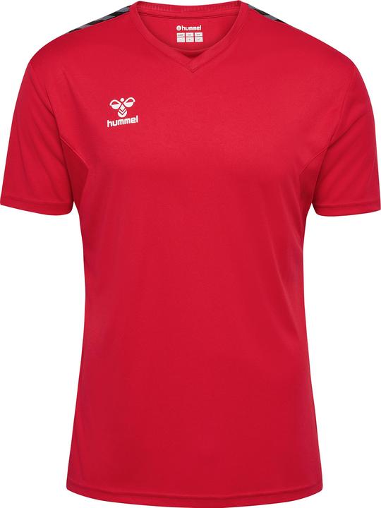 Image du produit hummel Hmlauthentic Pl Jersey S/S (XXL)