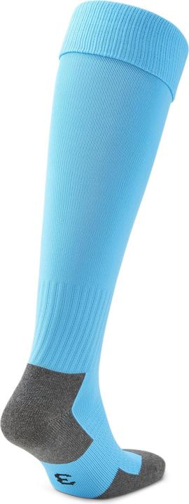 Actual product image Puma Team LIGA Socks CORE-703441 (36)