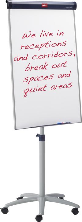 Actual product image Nobo Flipchart Barracuda (70 x 100 cm)