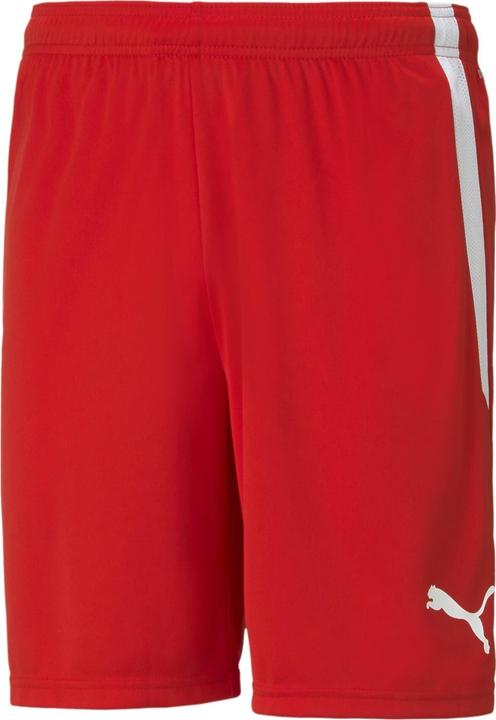 Actual product image Puma teamLIGA Shorts-704924 (L)