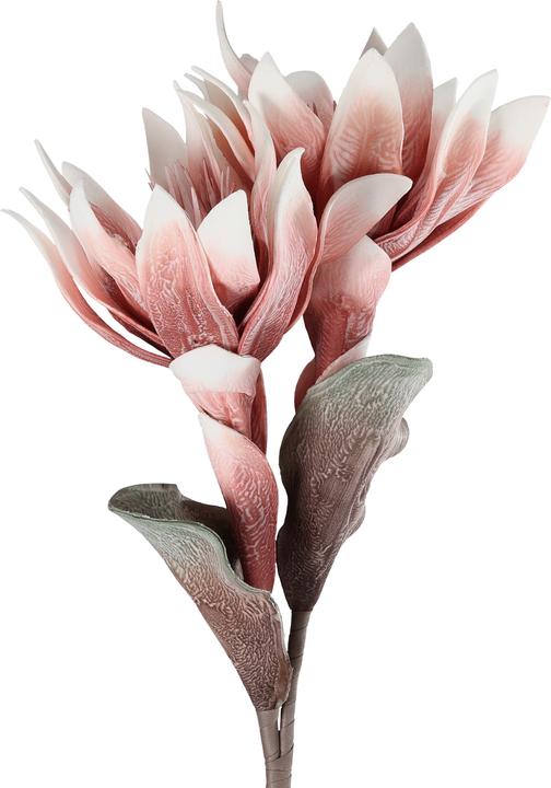 Actual product image EGLO LIVING Molave (28 cm)