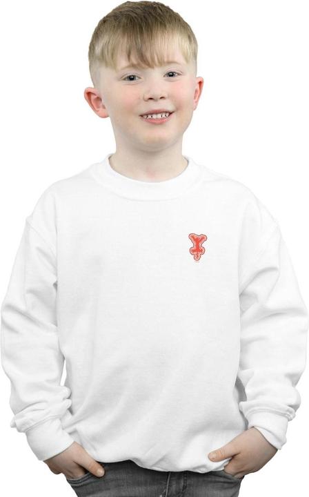 Image du produit Disney - Sweat WINNIE THE POOH TIGGER CHEST - Garçon (152, 158)