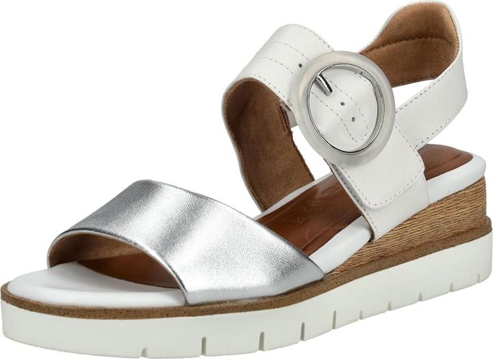 White/Silver