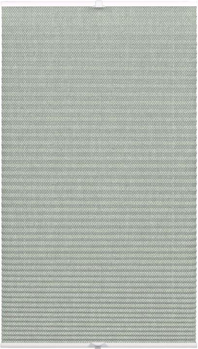 Wohnidee Kollektion Plissee mit 2 Bedienschienen (80 x 210 cm)
