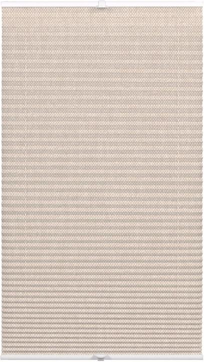 Wohnidee Kollektion Plissee mit 2 Bedienschienen (80 x 210 cm)
