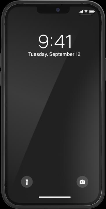 Actual product image adidas Silicone Case (Apple iPhone 13 Pro Max)