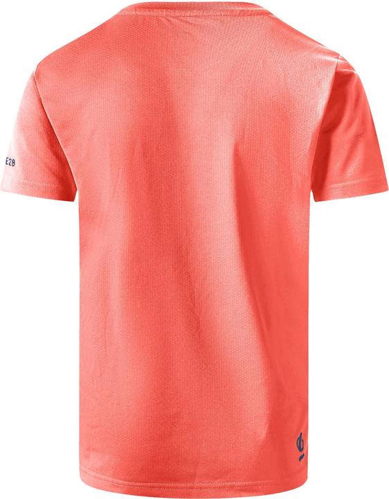 Actual product image Dare2b Childrens/Kids Amuse II Mountain T-Shirt (158)