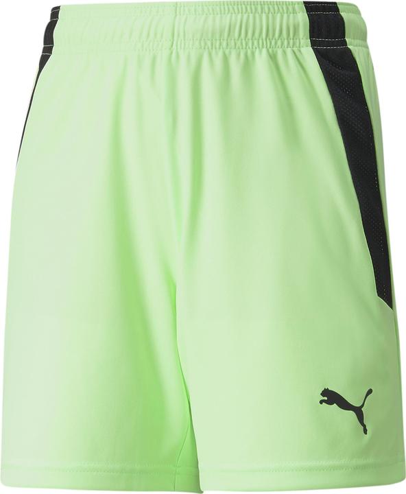 Actual product image Puma teamLIGA Shorts Jr (164)