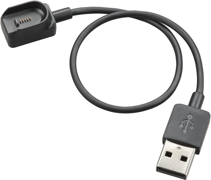 Poly Ply Voy Legend Chrg Cbl USB-A