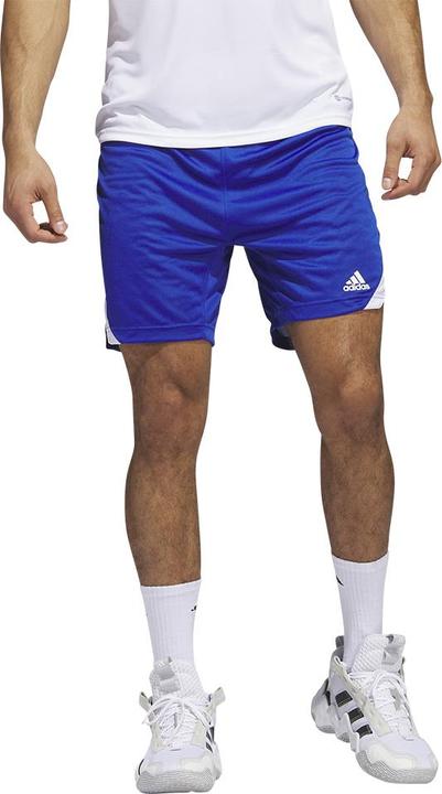 Actual product image adidas Icon Squad Shorts (M)