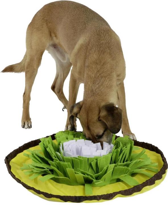 Actual product image Kerbl Bowl sniffing carpet