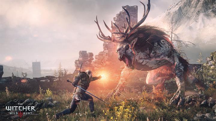 Immagine prodotto WB Microsoft The Witcher 3: Wild Hunt Edizione Gioco dell'Anno, Xbox One (Xbox One S)