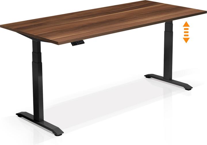 Nussbaum Nachbildung, Schwarz