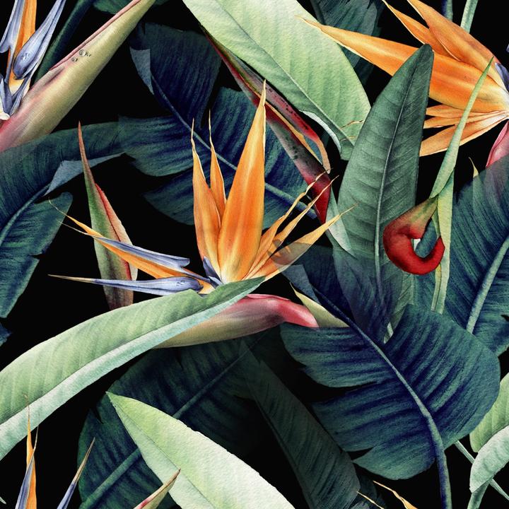 Immagine prodotto Crea Collection Strelitzia colorata (95 x 95 cm)