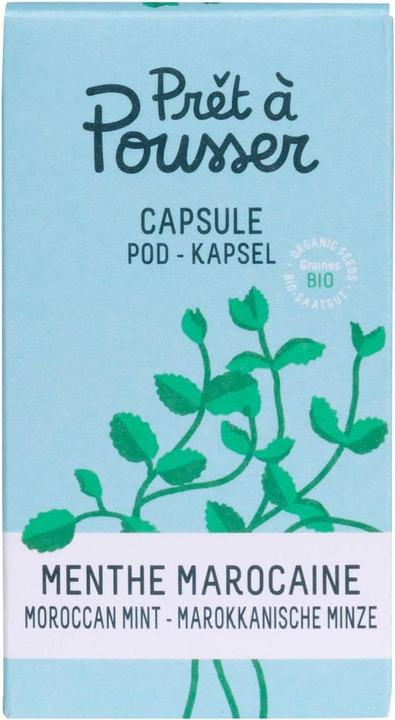 Immagine prodotto Prêt à Pousser Menta marocchina (Semi di erbe)