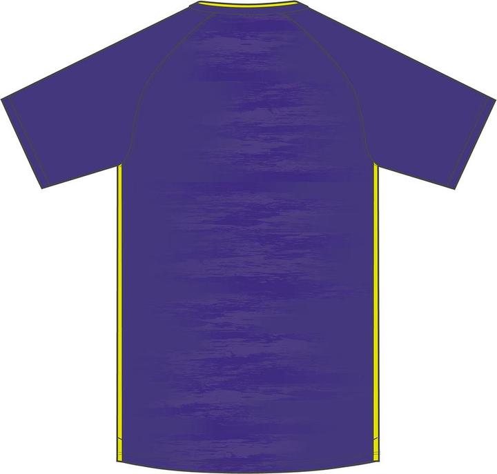 Actual product image Stanno Holi Jersey II (L)