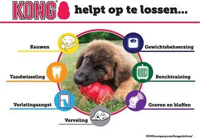 Image du produit KONG Extrême (Jouet à mâcher pour chien, Jouet alimentaire pour chien, Apporter)