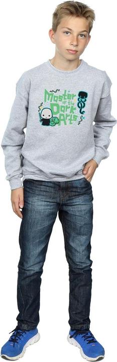 Image du produit - Sweat VOLDEMORT DARK ARTS JUNIOR - Garçon (140, 146)