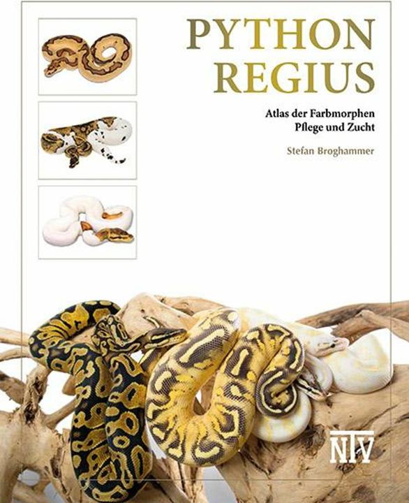 Image du produit python regius (Allemand, Stefan Broghammer, 2025)