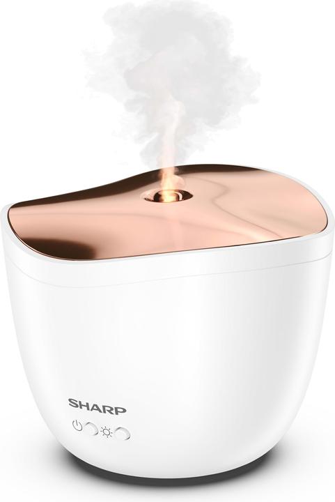 Immagine prodotto Sharp DF-A1E-W