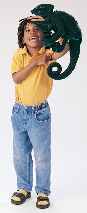 Image du produit Folkmanis Caméléon