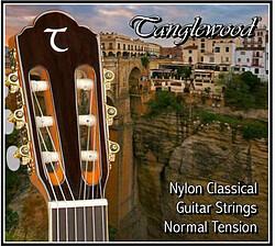 Actual product image Tanglewood TWGSC Classical N.Tension (Guitar)