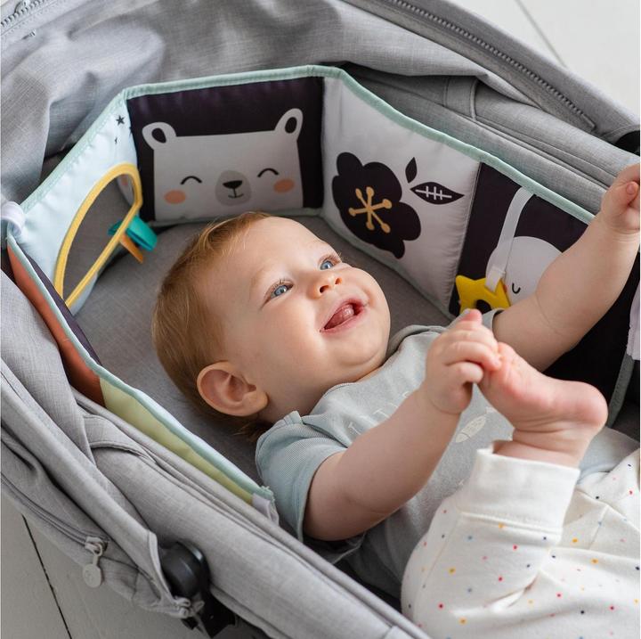 Immagine prodotto Taf Toys Polo Nord