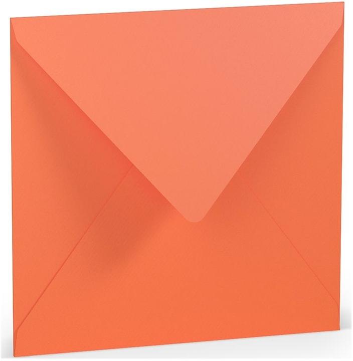 Image du produit Paperado Enveloppes 16,4x16,4cm doublées soie collage humide VE=5 pièces Coral (5 x)